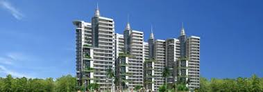 Amrapali Eden garden